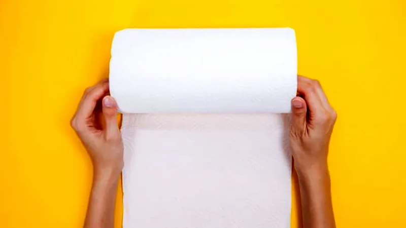 معرفی انواع حوله کاغذی + قیمت خرید روز